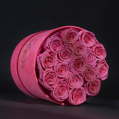Prifroti 17 Flowers in a Velvet Pink Box, Birthday Gifts for Women, Preserved Flowers, Mothers Day Roses Gift for Mom, Pink - Image 3