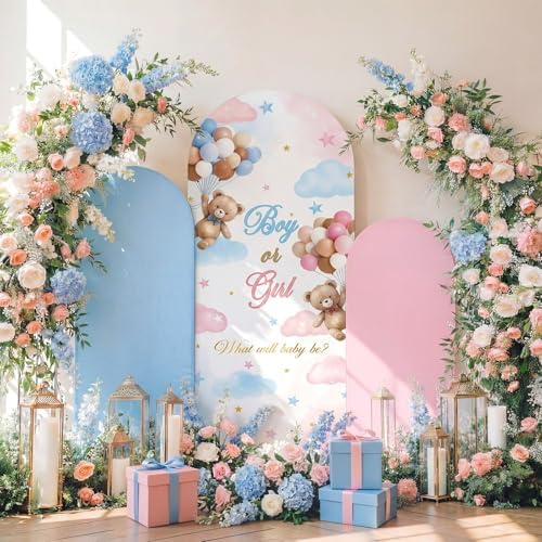 Lumina 3 Pcs Bear Arch Cover Gender Reveal Backdrop Pink Blue by Unknown