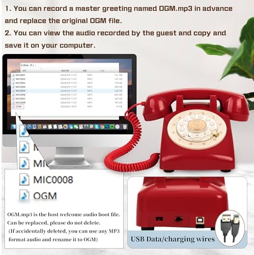 Audio Guest Book Wedding Phone,32GB Memory Customized Audio Messages, Volume Adjustable, with Message Replay Feature, Suitable for All Kinds of Party (Art Deco, Fresh-Red) - Image 2