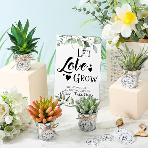 Zhehao 50 Sets Mini Succulent Buckets with 1 Greenery Let Love Grow Sign 50 Let Love Grow Tag and 2 Hemp Ropes for Wedding, Bridal, Baby Shower, Succulent Party Favor for Guests - Image 4