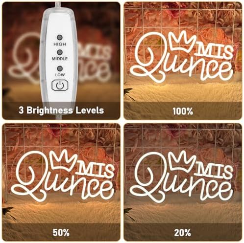 Mis Quince Neon Sign for Wall Decor Dimmable LED Sign Neon Lights for Bedroom Light Decoration for Birthday Party Room Decoration Gift for Girl Kid Lover 40CM*23CM Warm White - Image 4