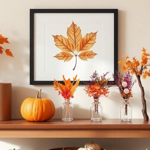 Nuanchu 10 Pcs Fall Dried Flowers Bouquet Boho, 10 Glass Vase, Rope - Image 5