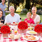 Daifunli 6 Set Picnic Party Centerpieces for Table Mason Jar Table Decor - Image 5