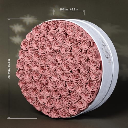 Prifroti 75 Preserved Roses in Suede Box – Luxury Rose Flower Arrangement, Preserved Flowers Gifts for Women, Wife or Mom – Birthday, Anniversary, Valentine’s Day, Mother's Day (Dusty Rose) - Image 2