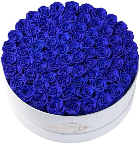 Prifroti 75 Preserved Roses in Suede Box – Luxury Rose Flower Arrangement, Preserved Flowers Gifts for Women, Wife or Mom – Birthday, Anniversary, Valentine’s Day, Mother's Day (Royal Blue) by Prifroti