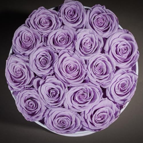 Prifroti 17 Flowers in a Luxury Suede Box, Birthday Gifts for Women, Preserved Flowers, Mothers Day Roses Gift for Mom, Lavender - Image 5