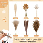 129 Pcs Bear Baby Shower Centerpieces, Dried Pampas Grass Vase with Bears Rope Boho Rustic Table Decoration for Birthday Gender Reveal Party Supplies - Image 5