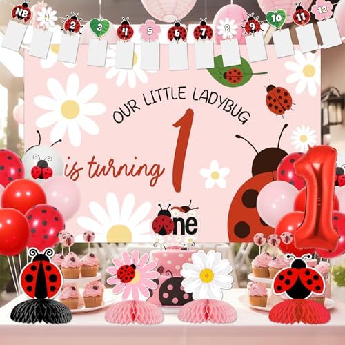 Ladybug First Birthday Decoration Our Little Ladybug Is Turning One Backdrop Photo Banners Pink Little Bug Daisy Honeycomb Centerpieces Cake Topper Balloons for Girls Insect Themed Party Supplies - Image 3