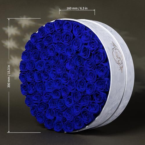 Prifroti 75 Preserved Roses in Suede Box – Luxury Rose Flower Arrangement, Preserved Flowers Gifts for Women, Wife or Mom – Birthday, Anniversary, Valentine’s Day, Mother's Day (Royal Blue) - Image 2