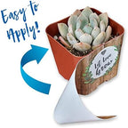 Succulent Pot Wraps for Wedding Favors, Baby Shower or Bridal Shower | Fits Most 2 Inch Square Pots | Peel and Stick Vinyl Wraps | Does Not Include Mini Live Plant or Pot (50 Wraps, It's A Boy) - Image 2