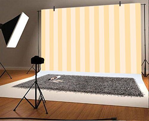 Leyiyi 12x6ft Photography Background Striped Backdrop Happy Birthday Party Vertical Horizontal Stripes Icecream Girl Blog Make Up Vlogger Summer Poster Baby Shower Photo Portrait Vinyl Studio Prop - Image 2