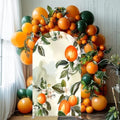 Blush Pink Floral Arch Covers Stretchy Backdrop Citrus Lemon A Little Cutie is on The Way Arch Background Baby Shower Party Decoration (8x4.6ft(240x140cm),GX-2894) by NIVIUS+PHOTO
