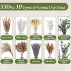 530/450Pcs Dried Pampas Grass Set for Dry Flower Home Decor (530Pcs Nature) - Image 2