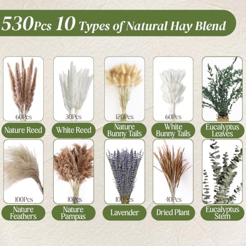 530/450Pcs Dried Pampas Grass Set for Dry Flower Home Decor (530Pcs Nature) - Image 2