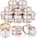 WILLBOND 12 Pcs The Apple of Our Eye Baby Shower Candle Favor Fruit Scented by Willbond+Technology+Limited