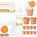 Ctosree 50 Sets Cutie Baby Shower Party Favors for Guests A Little Cutie Is on The Way Seed Packets Include Self Adhesive Seed Packets Flowerpot Thank You Tags Organza Bags for Orange Baby Shower by Ctosree