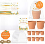 Ctosree 50 Sets Cutie Baby Shower Party Favors for Guests A Little Cutie Is on The Way Seed Packets Include Self Adhesive Seed Packets Flowerpot Thank You Tags Organza Bags for Orange Baby Shower by Ctosree