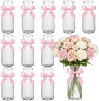 LemonRoad 12 Pcs Vintage Plastic Vases for Centerpieces Small Clear Flower Vase with Pink Ribbon for Farmhouse Wedding Housewarming Pink Birthday Party Favors Rustic Home Tabletop Decoration by Unknown