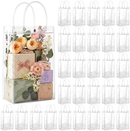 Saintrygo 50 Pcs Clear Gift Bags with Handles, 10.2 x 6.3 x 3.2 Inches by Saintrygo