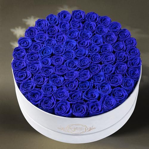 Prifroti 75 Preserved Roses in Suede Box – Luxury Rose Flower Arrangement, Preserved Flowers Gifts for Women, Wife or Mom – Birthday, Anniversary, Valentine’s Day, Mother's Day (Royal Blue) - Image 6