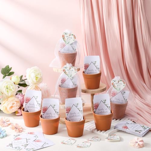 Ctosree 24 Sets Appreciation Gifts Thank You for All You Do Seed Packets Flowerpot Thanks Tags Organza Bags for Coworker Staff Employee Nurse Appreciation Gifts - Image 5