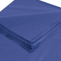 Aviditi Premium Tissue Paper Gift Wrap, 20" x 30", Parade Blue, Bulk Pack (480 Sheets per Case), Perfect for Gift Wrap, Holidays, Birthdays, Crafts, DIY Projects, and Decorations by Aviditi