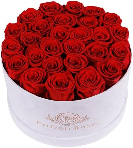 Prifroti 27 Flowers in a Luxury Suede Box, Birthday Gifts for Women, Preserved Flowers, Mothers Day Roses Gift for Mom, Red by Prifroti
