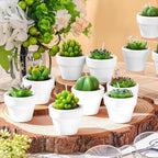 Shihanee 36 Pcs Succulent Cactus Tealight Candles - Image 3