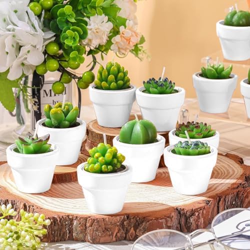 Shihanee 36 Pcs Succulent Cactus Tealight Candles - Image 3