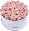 Prifroti 27 Flowers in a Luxury Suede Box, Birthday Gifts for Women, Preserved Flowers, Mothers Day Roses Gift for Mom, Dusty Rose by Prifroti