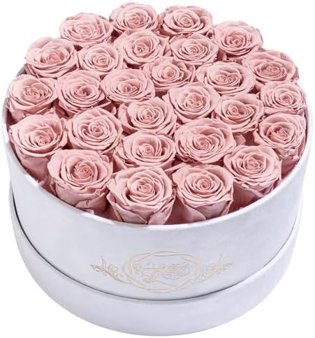 Prifroti 27 Flowers in a Luxury Suede Box, Birthday Gifts for Women, Preserved Flowers, Mothers Day Roses Gift for Mom, Dusty Rose by Prifroti