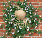 2PCS x 6FT Rose Garland Artificial Flower Vine for Home Decor, Champagne - Image 3