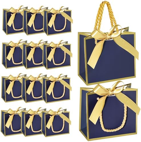 EQOREIIN 24 PCS Small Gift Bags with Handles, 5.5x 2.5x4.7 Inches Mini Bag by EQOREIIN