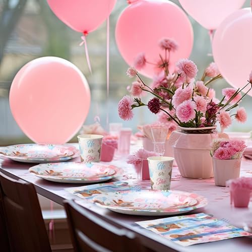 Pickmesh 400 Pcs Bear Gender Reveal Party Supplies Plates Napkins Serve 50 - Image 5