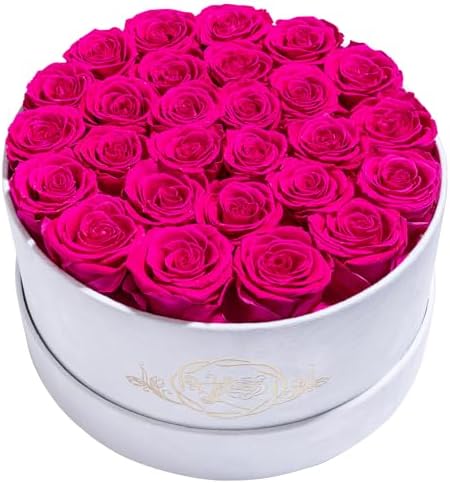 Prifroti 27 Flowers in a Luxury Suede Box, Birthday Gifts for Women, Preserved Flowers, Mothers Day Roses Gift for Mom, Hot Pink by Prifroti