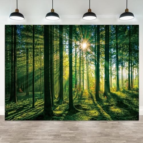 10x7ft Spring Backdrop Green Forest Scenery Photography Background Sunshine Trees Woodland Nature Landscape Wedding Banner Decorations Kids Birthday Baby Shower Portrait Photo Booth Prop by ASDCXZ