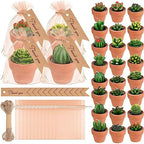 MTLEE 24 Pcs Succulent Cactus Tealight Candles by MTLEE