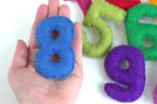 Counting Set- Monthly Milestone 3” Numbers- Rainbow - Image 3