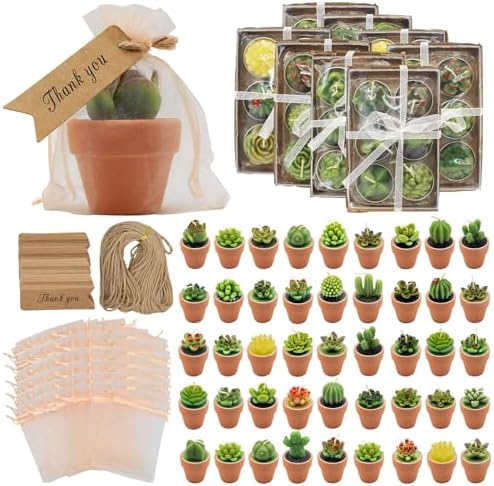 48 Pcs Succulent Candles Party Favors, Mini Tealight Candles for Wedding by AZEAM