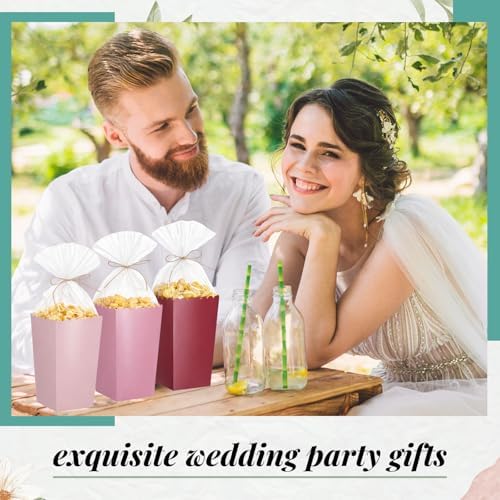 Baderke 201 Pcs Popcorn Boxes and Clear Treat Bag Set Bulk Wedding Popcorn Containers 6.7' Open Top Paper Popcorns Bag with Treat Candy Bags & Packing String for Party Movie (Gradient Pink) - Image 6