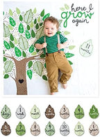 Lulujo Baby’s First Year Milestone Blanket and Card Set | 40in x 40in (Here I Grow Again) by Lulujo