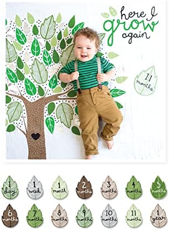 Lulujo Baby’s First Year Milestone Blanket and Card Set | 40in x 40in (Here I Grow Again) by Lulujo