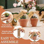 48 Pcs Succulent Candles Party Favors, Mini Tealight Candles for Wedding - Image 5