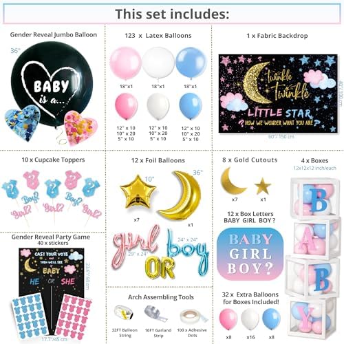 191 Pc Twinkle Twinkle Little Star Gender Reveal Decorations, Boy or Girl - Image 4