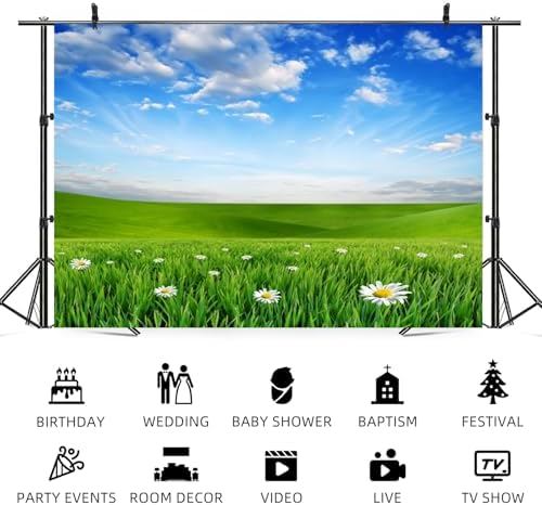 12x6ft Spring Backdrop Grassland Landscape Daisy Flowers Photography Background Green Grass Blue Sky Nature Scenery Kid Birthday Banner Decorations Baby Shower Portrait Photo Booth Prop - Image 5