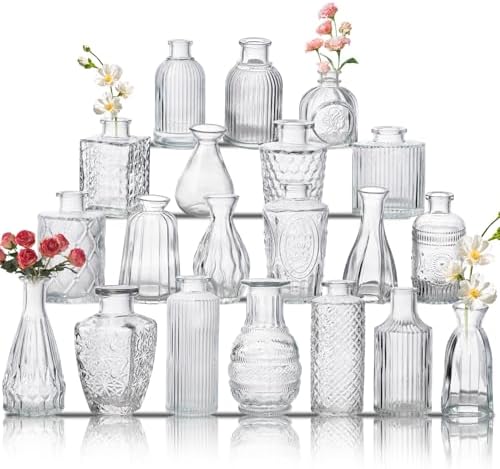 Glass Bud Vase Set of 20, Small Flower Vases, Glass Vases for Centerpieces, Vintage Home Table Decorations Bud Vases (20 Pcs, Clear) by BJONKZ