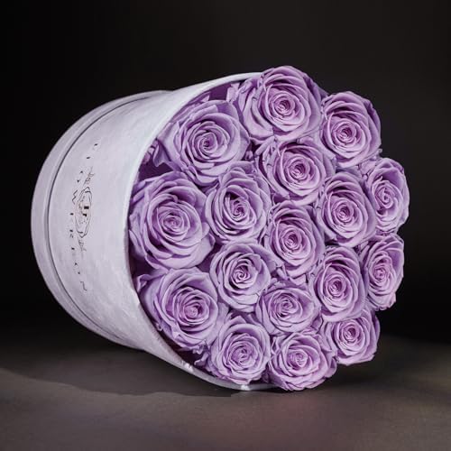 Prifroti 17 Flowers in a Luxury Suede Box, Birthday Gifts for Women, Preserved Flowers, Mothers Day Roses Gift for Mom, Lavender - Image 2