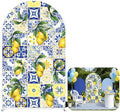 NIVIUS PHOTO Mediterranean Lemon Arch Backdrop Blue & Yellow Tile Party Decor for Indoor/Outdoor Events, Birthday Photo Booth Background (6X3FT,ZUS-Arch-GX-1180) by NIVIUS+PHOTO
