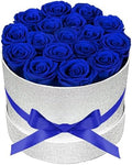 Prifroti 17 Blue Flowers in Glitter Box, Birthday Gifts for Women, Preserved Flowers, Mothers Day Roses Gift for Mom by Prifroti