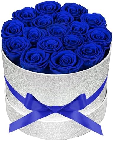 Prifroti 17 Blue Flowers in Glitter Box, Birthday Gifts for Women, Preserved Flowers, Mothers Day Roses Gift for Mom by Prifroti